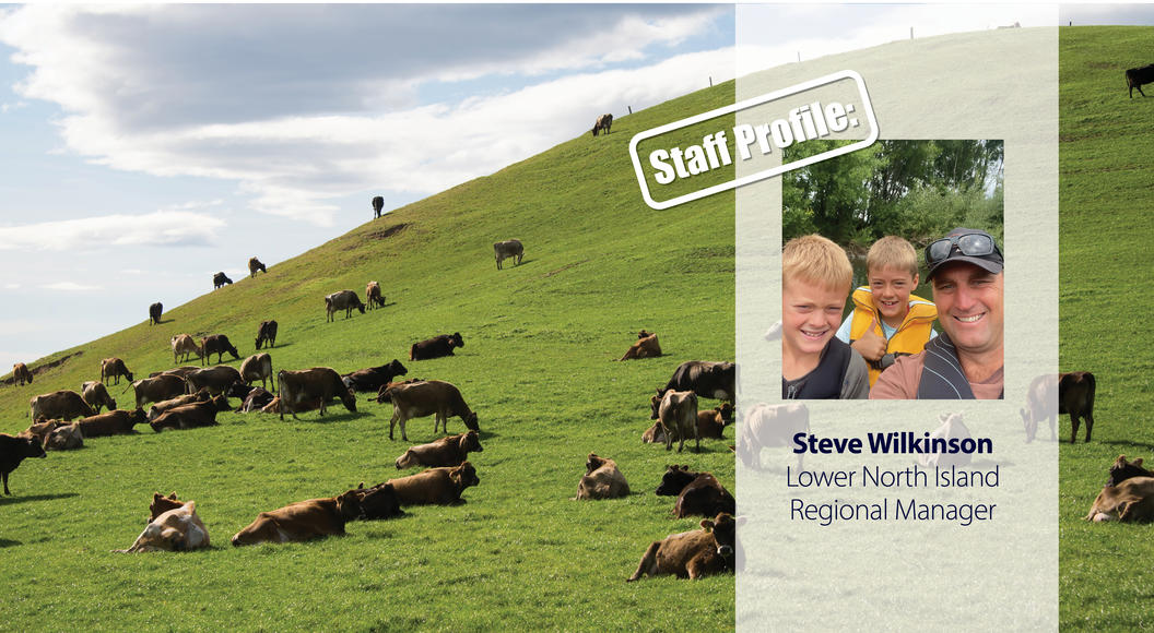 Full clearance at large South Canterbury onfarm cattle sale PGG